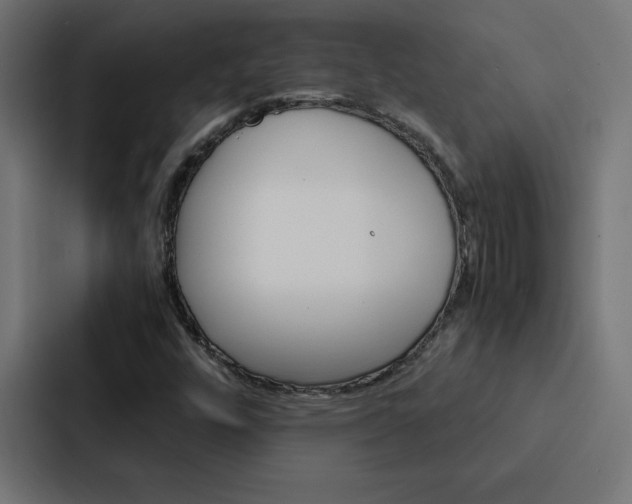 X0000088191448200705150950