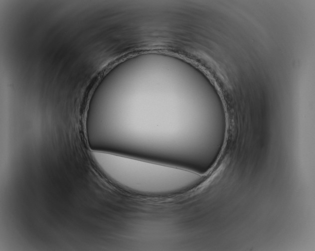 X0000088191449200705150950