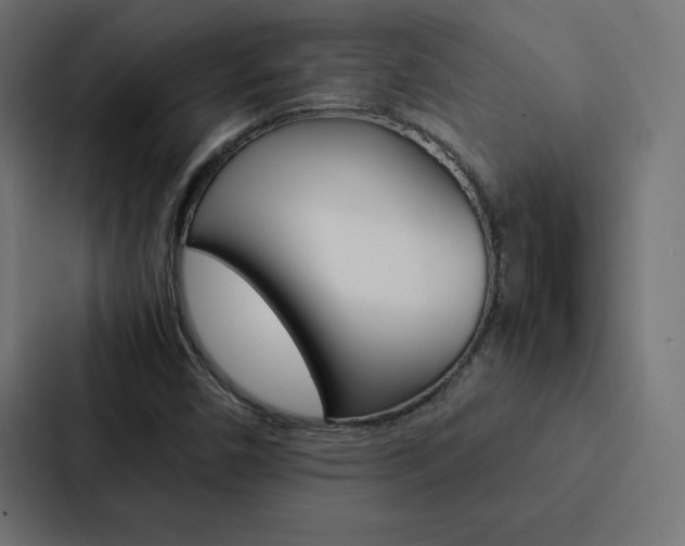 X0000088191450200705150950