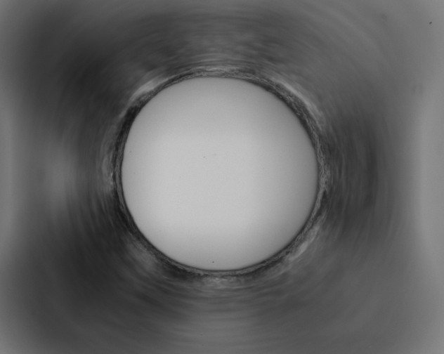 X0000088191451200705150950