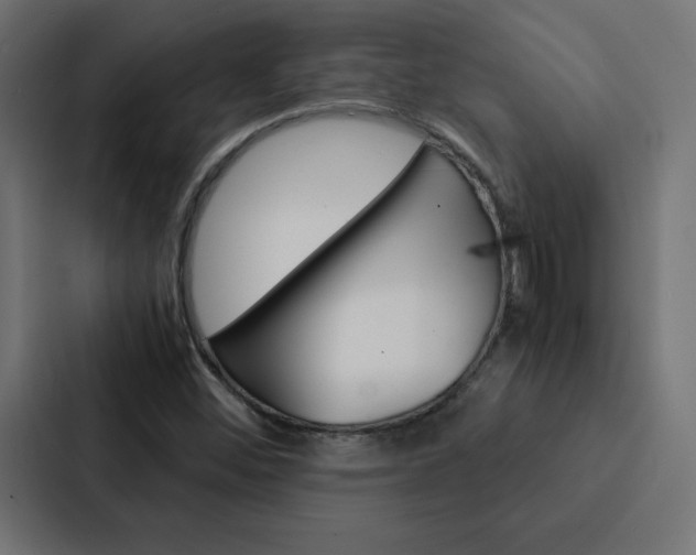 X0000088191452200705150950