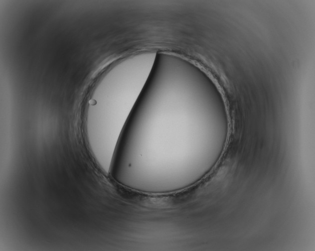 X0000088191453200705150950