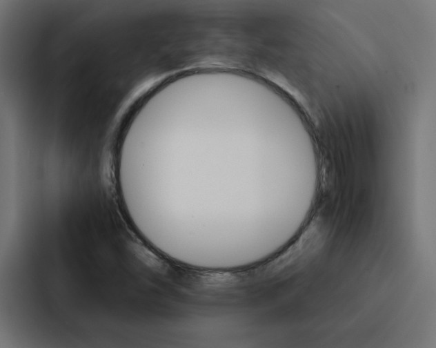 X0000088191454200705150950