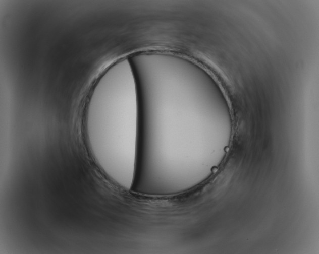 X0000088191455200705150950