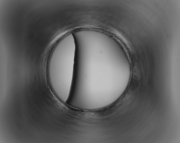 X0000088191456200705150950