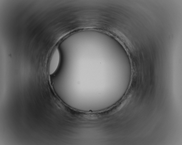 X0000088191457200705150950