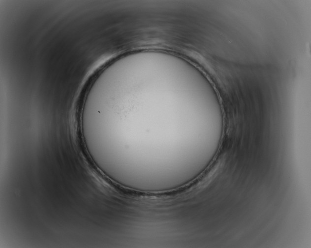 X0000088191458200705150950