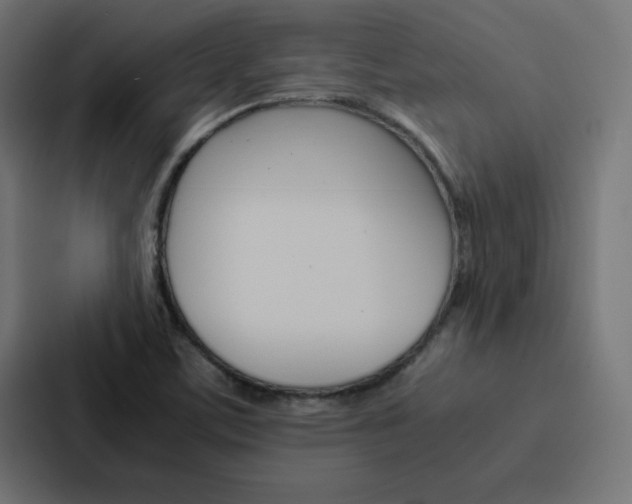 X0000088191459200705150950