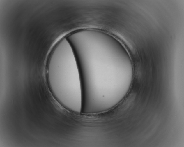 X0000088191460200705150950