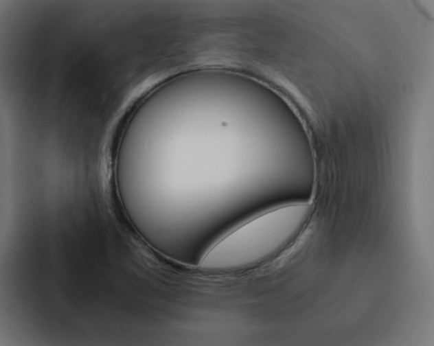 X0000088191461200705150950