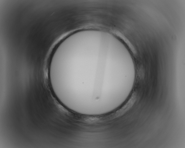X0000088191462200705150950
