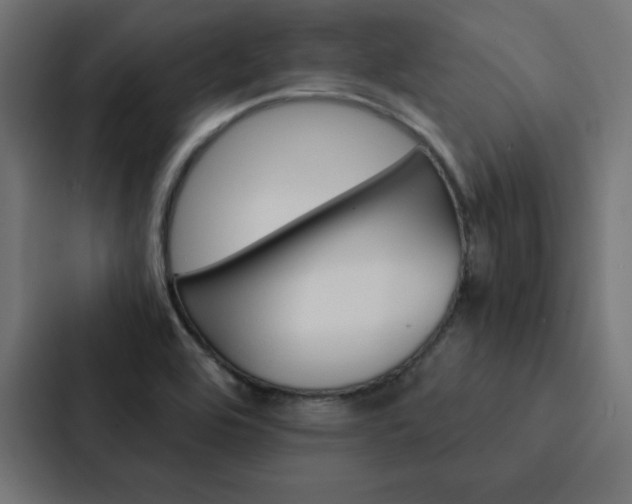 X0000088191464200705150950