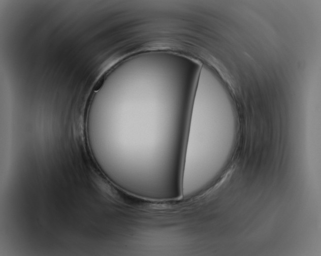 X0000088191465200705150949