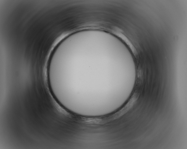 X0000088191466200705150949