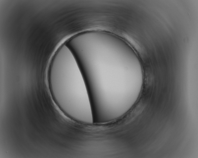 X0000088191468200705150949