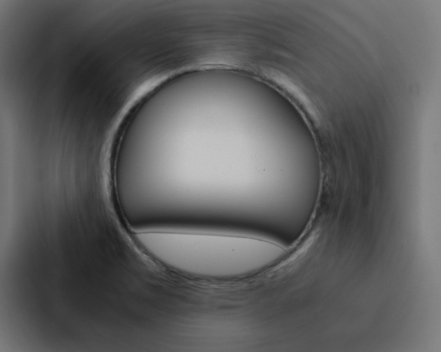 X0000088191469200705150949