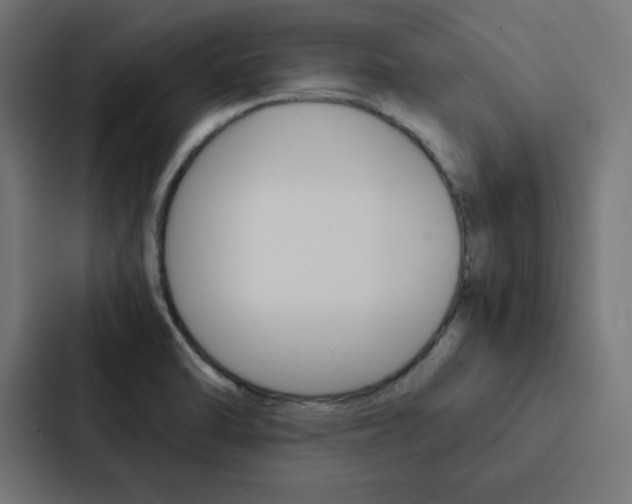 X0000088191470200705150949