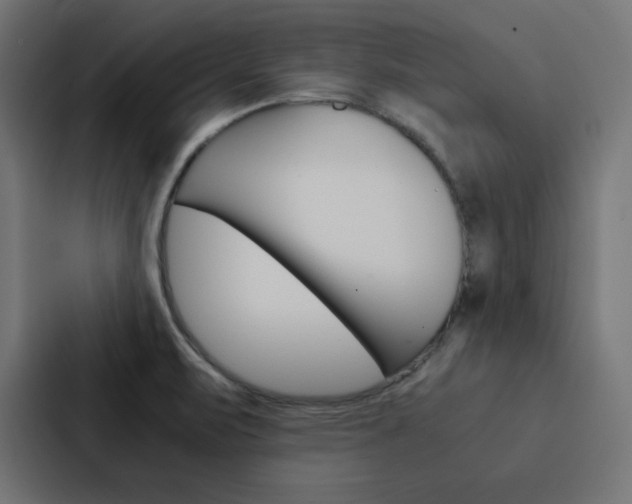 X0000088191471200705150949