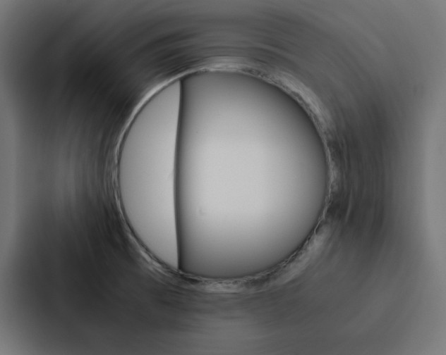 X0000088191473200705150949