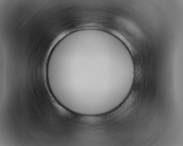 X0000088191474200705150949