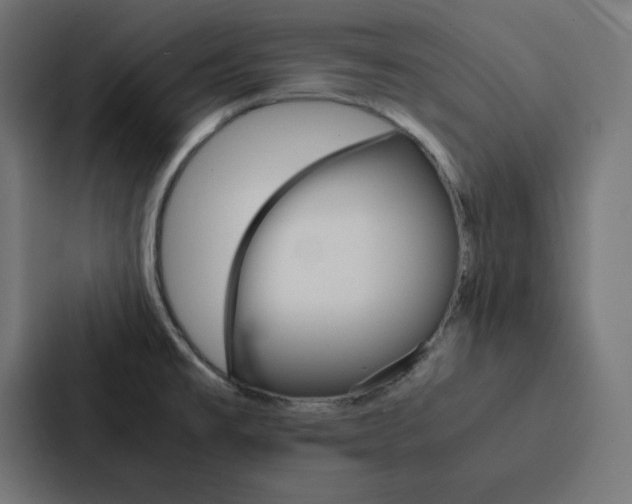 X0000088191477200705150949