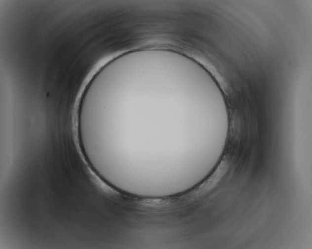 X0000088191478200705150949
