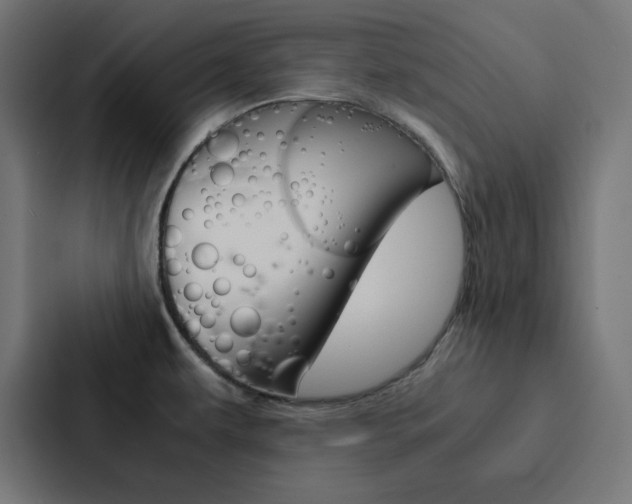 X0000088191479200705150949