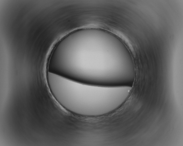 X0000088191480200705150949