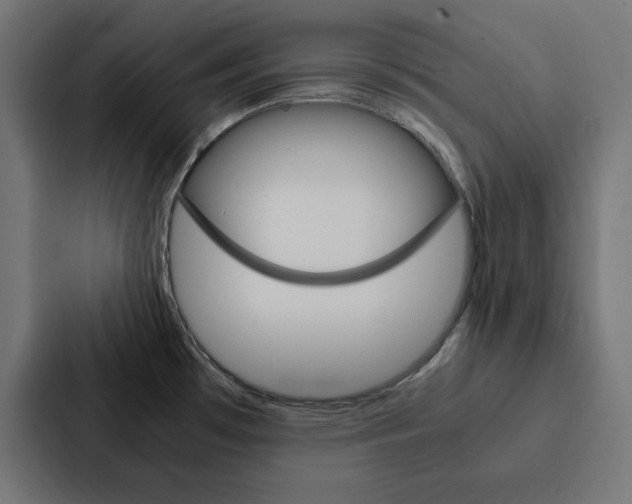 X0000088191481200705150949