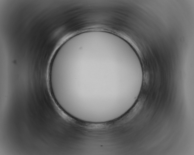 X0000088191482200705150949