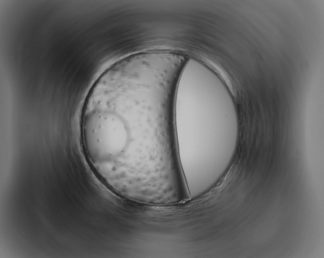 X0000088191483200705150949
