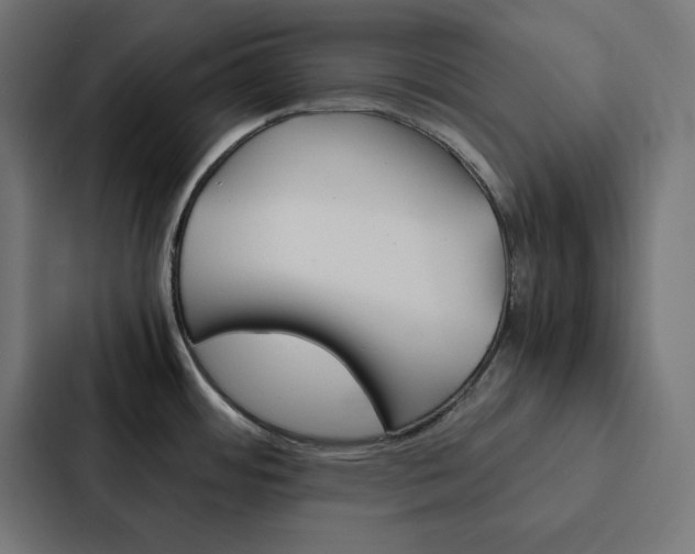X0000088191484200705150949