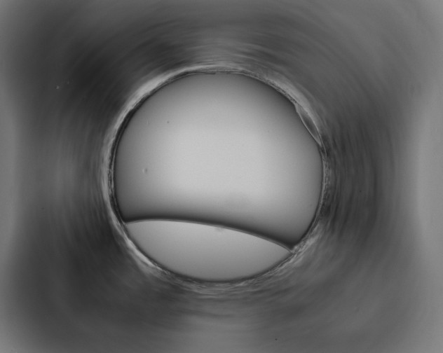 X0000088191485200705150949
