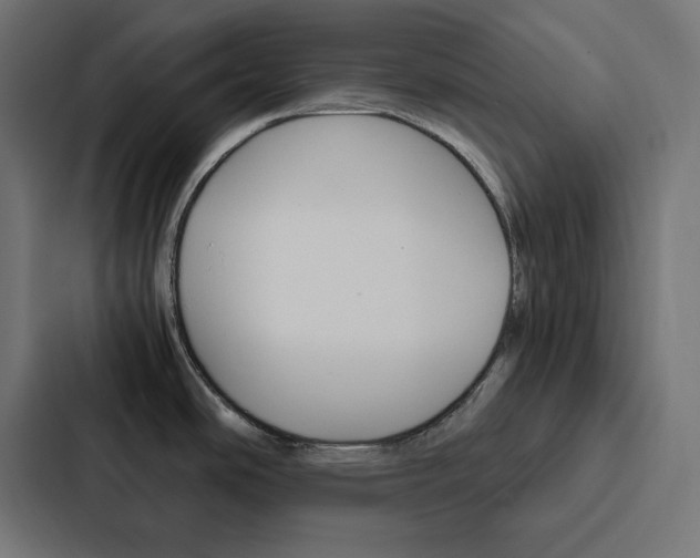 X0000088191486200705150949