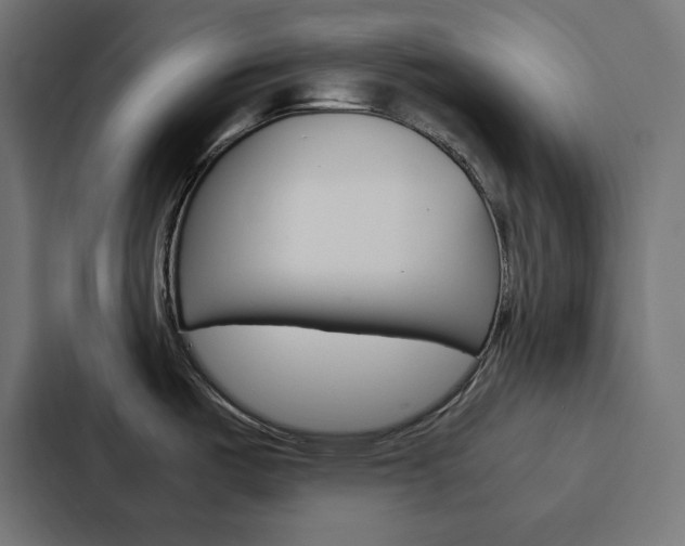 X0000088191487200705150949