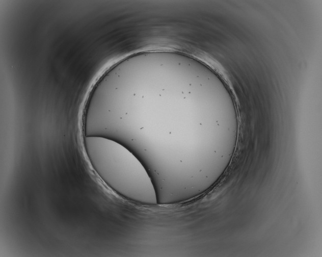 X0000088191488200705150949