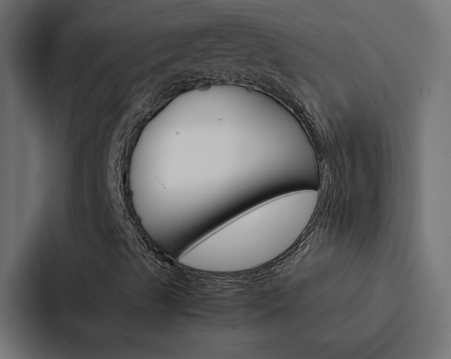 X0000088191489200705150949