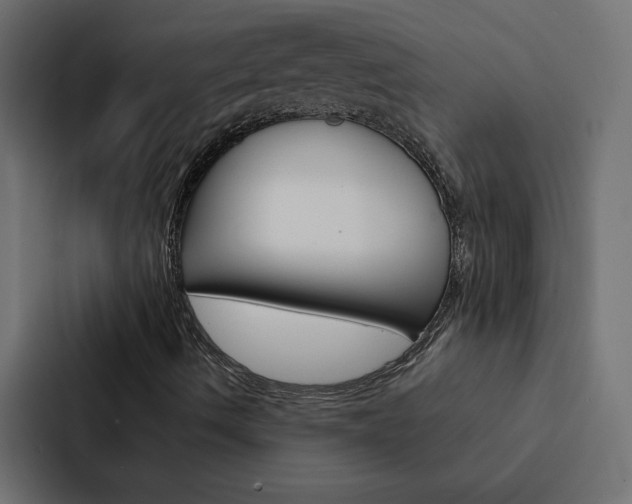X0000088191490200705150949