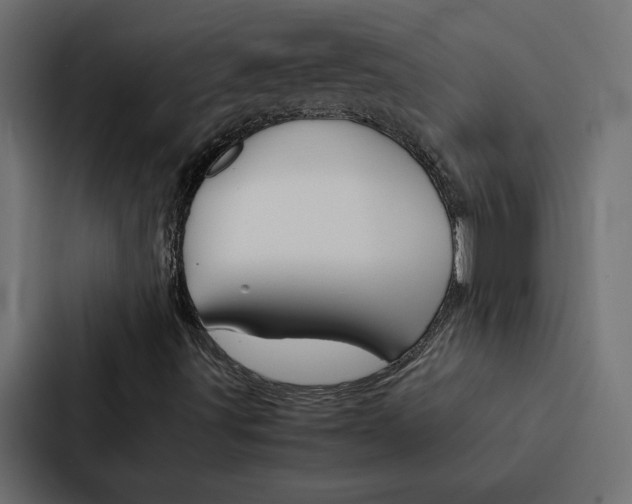 X0000088191491200705150949