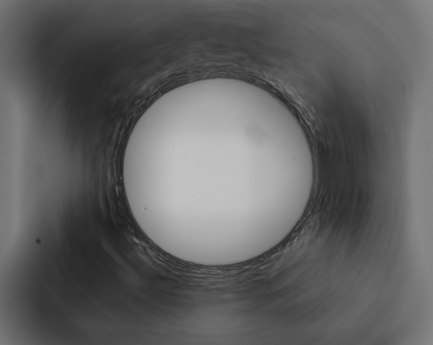 X0000088191492200705150949