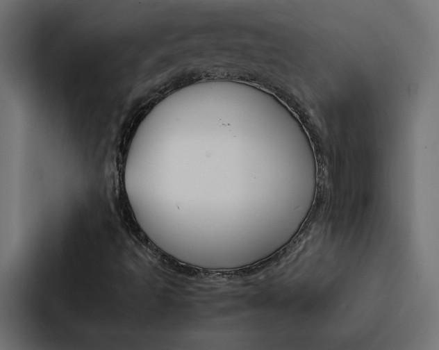 X0000088191493200705150949