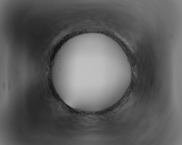 X0000088191495200705150949