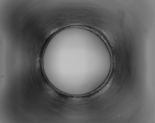 X0000088191497200705150949
