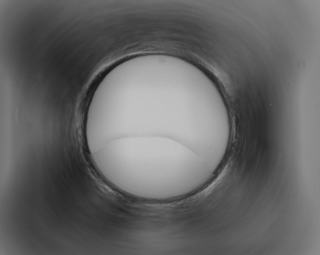 X0000088191498200705150949