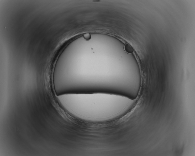 X0000088191499200705150949