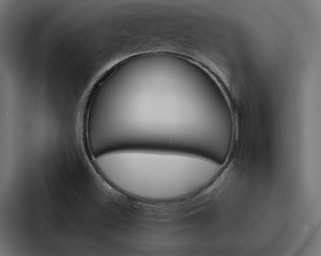 X0000088191500200705150949