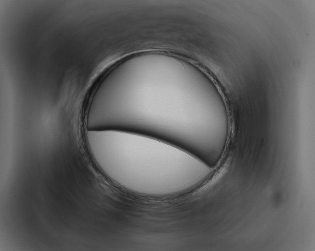 X0000088191501200705150949
