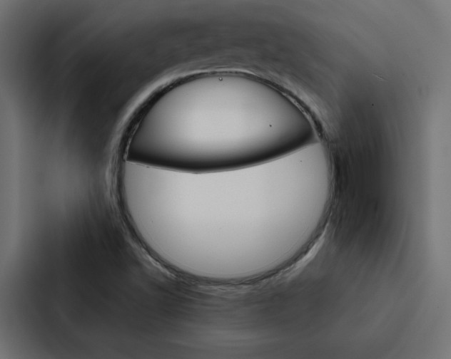 X0000088191502200705150949