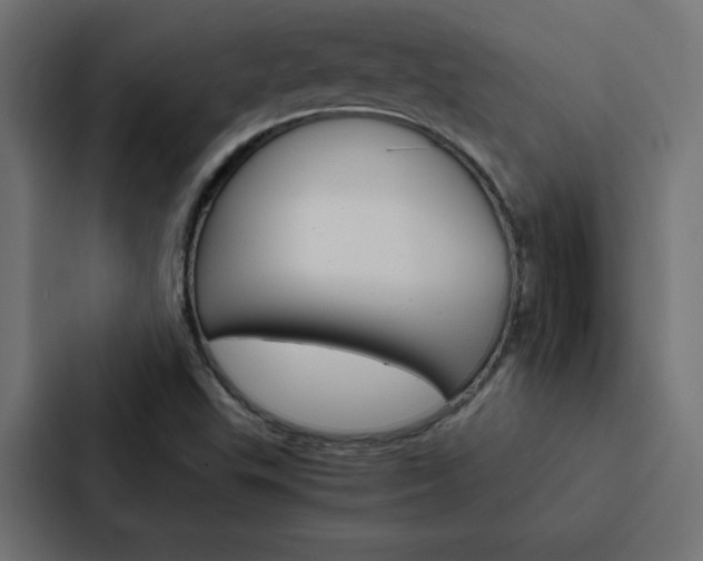 X0000088191503200705150949