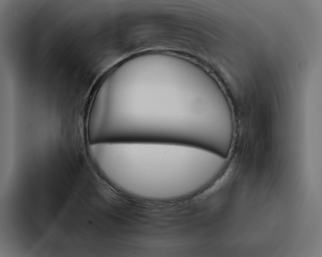 X0000088191505200705150949
